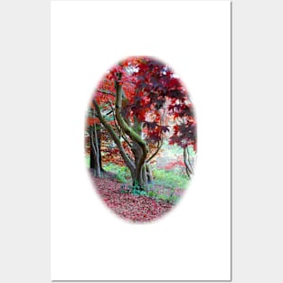 Japanese Maple Posters and Art